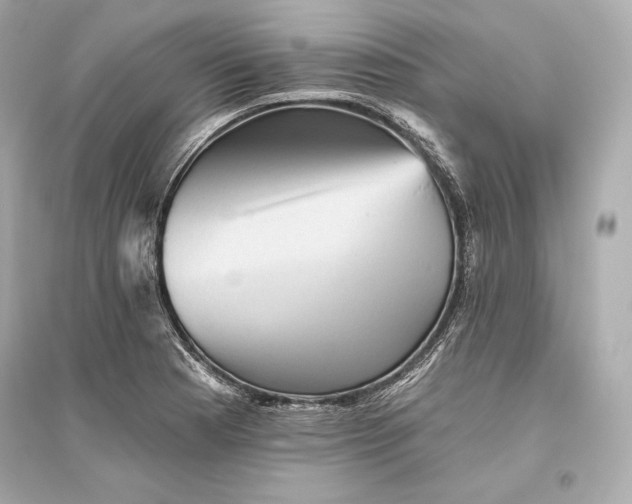 X0000094811177200711301545