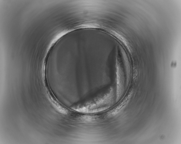 X0000094811179200711301545