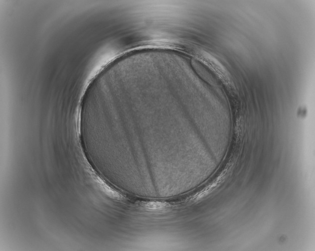 X0000094811180200711301545