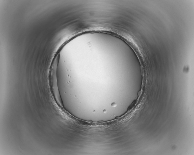 X0000094811181200711301545