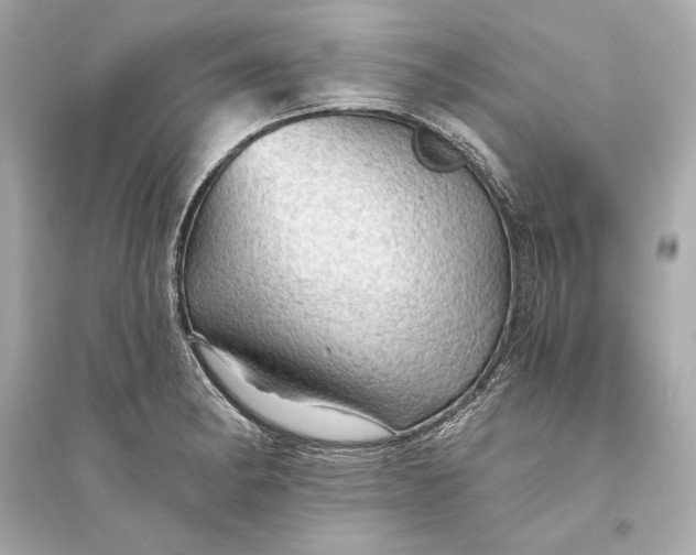 X0000094811182200711301545