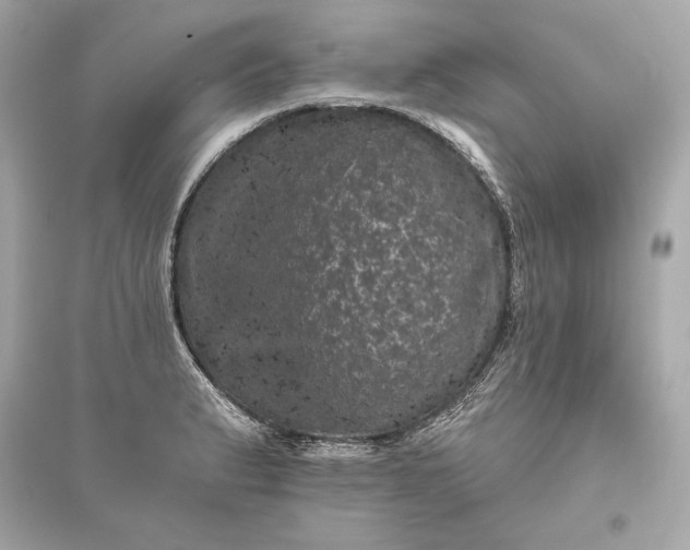 X0000094811183200711301545