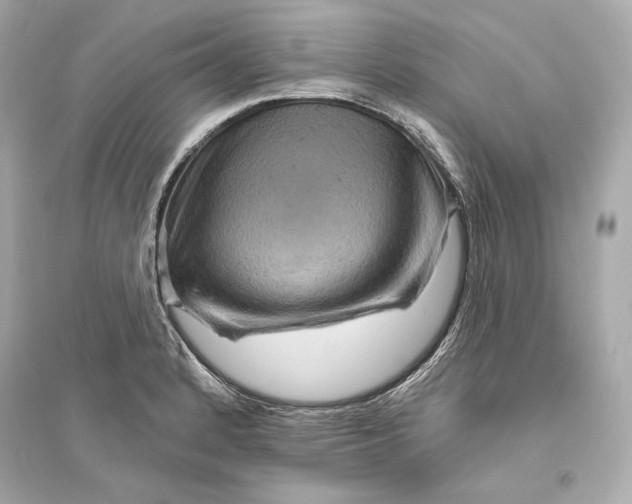 X0000094811184200711301545