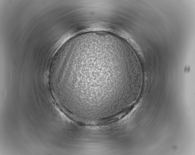 X0000094811185200711301545