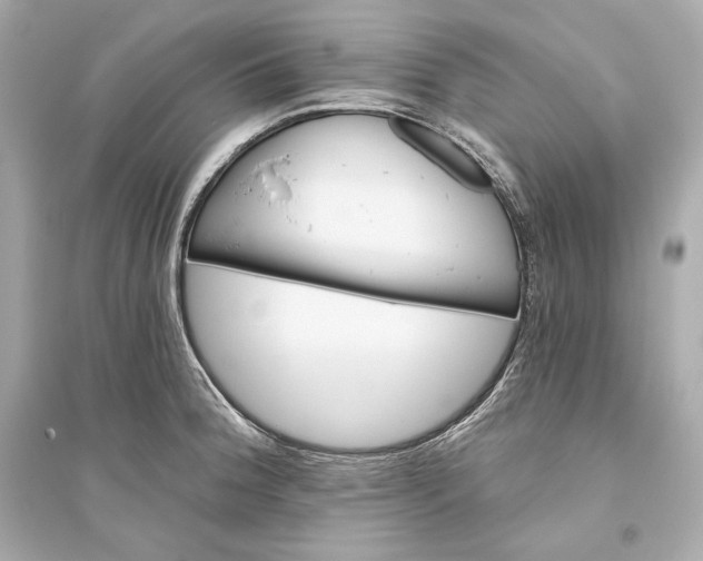 X0000094811188200711301545