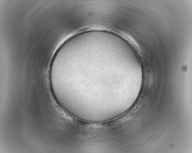 X0000094811190200711301545