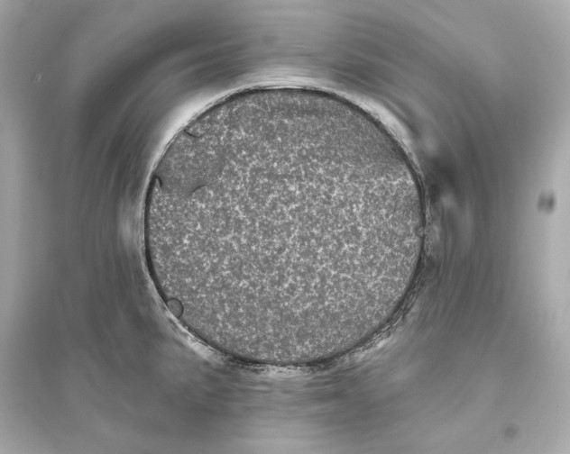 X0000094811191200711301545