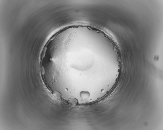 X0000094811192200711301545