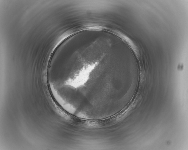 X0000094811194200711301545