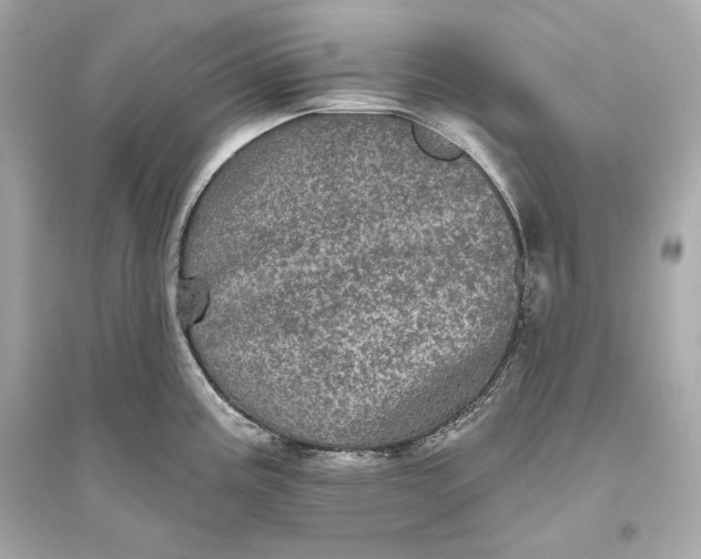 X0000094811195200711301545