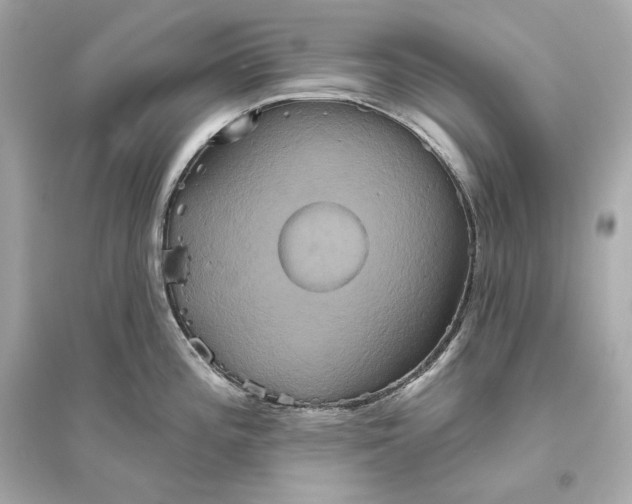 X0000094811196200711301545