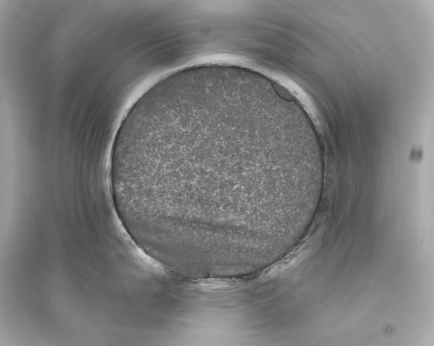 X0000094811199200711301545