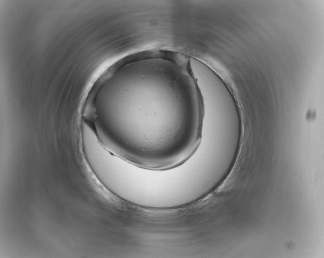 X0000094811200200711301545