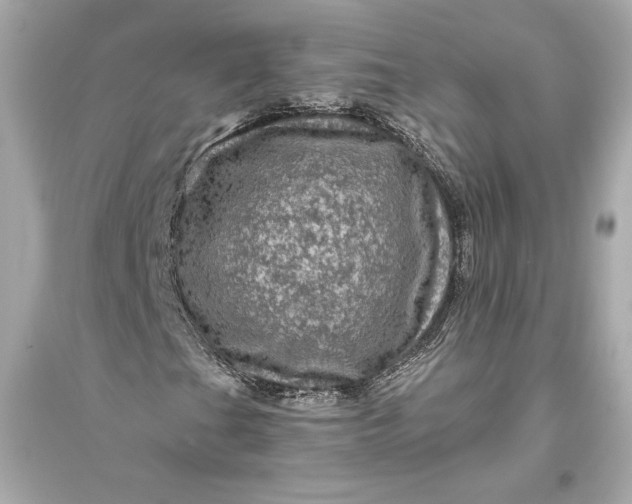 X0000094811201200711301544