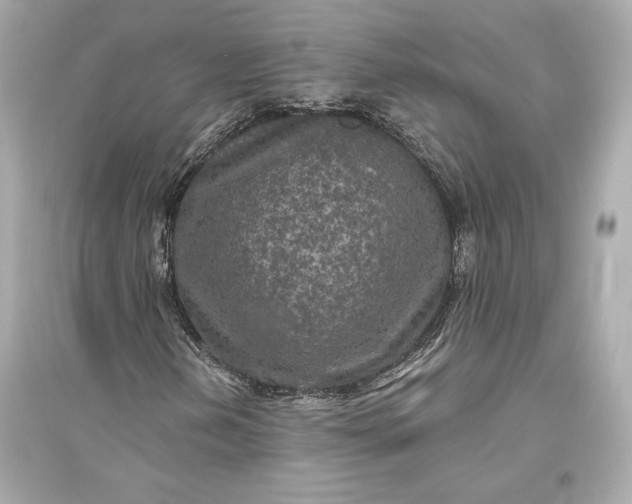 X0000094811202200711301544