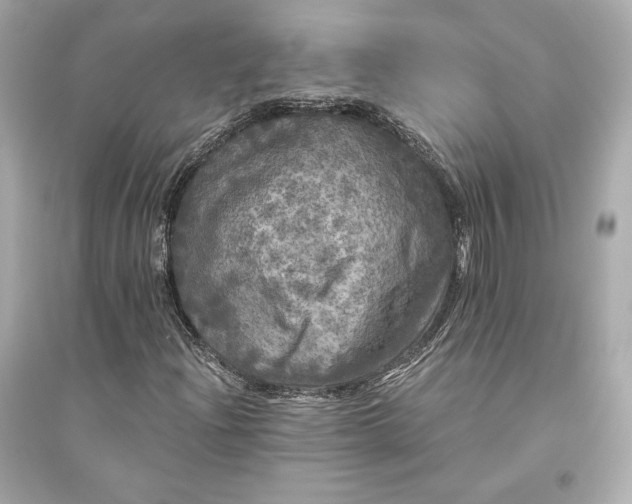 X0000094811204200711301544