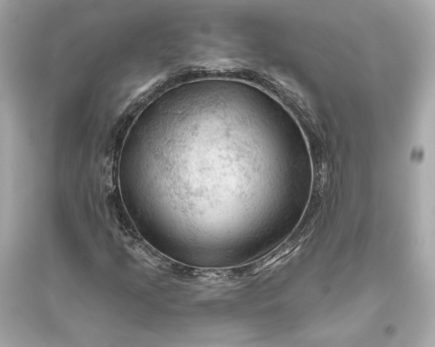 X0000094811205200711301544