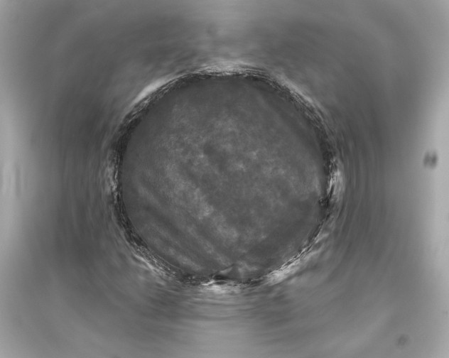 X0000094811206200711301544