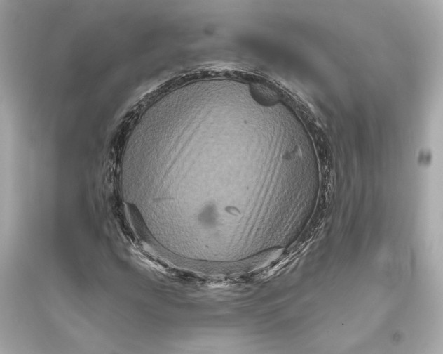 X0000094811207200711301544