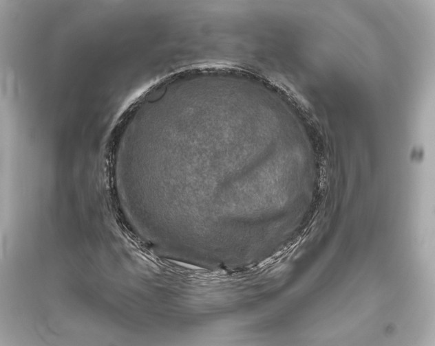 X0000094811208200711301544