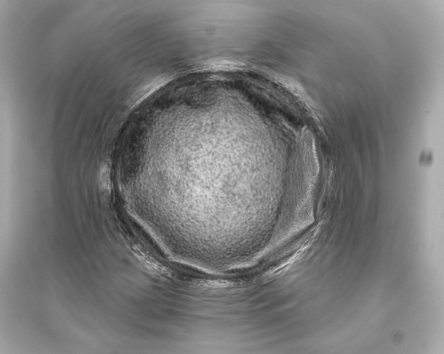 X0000094811209200711301544