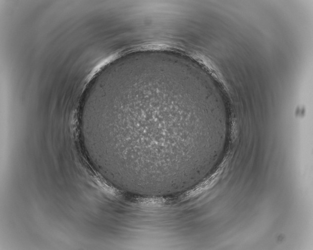 X0000094811210200711301544