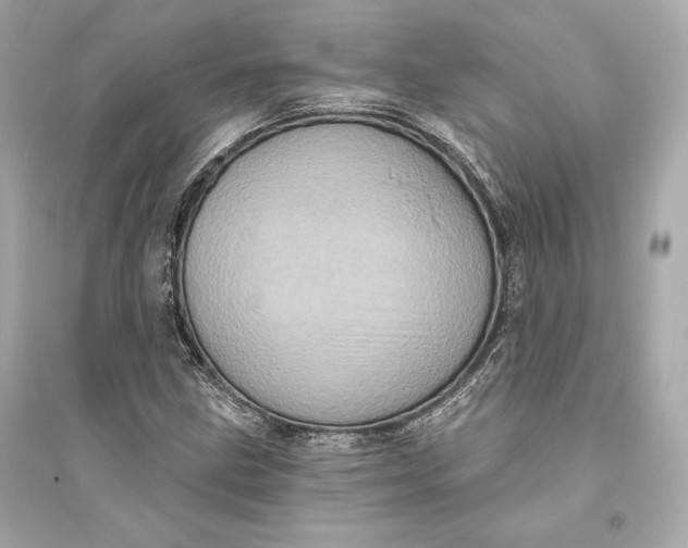 X0000094811211200711301544