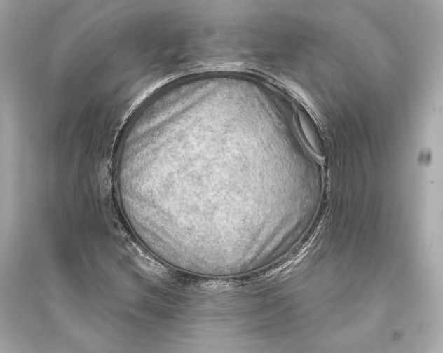 X0000094811212200711301544