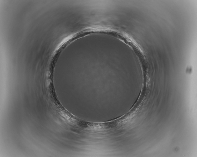 X0000094811213200711301544