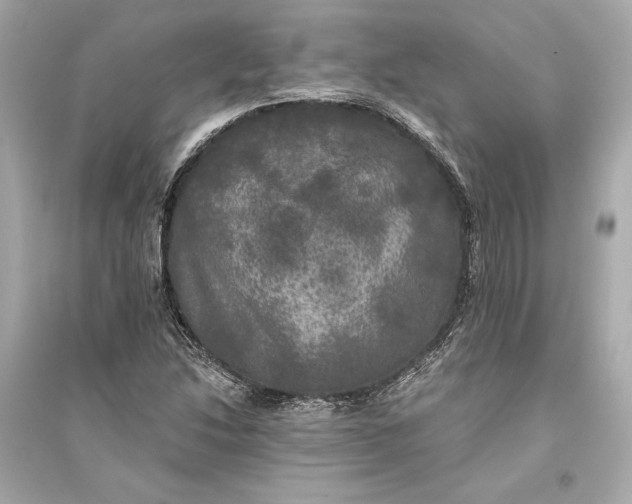 X0000094811214200711301544