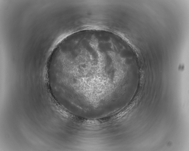 X0000094811215200711301544