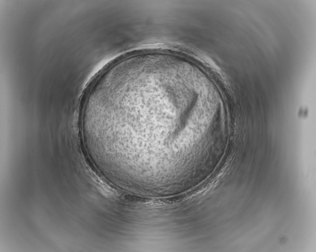 X0000094811216200711301544