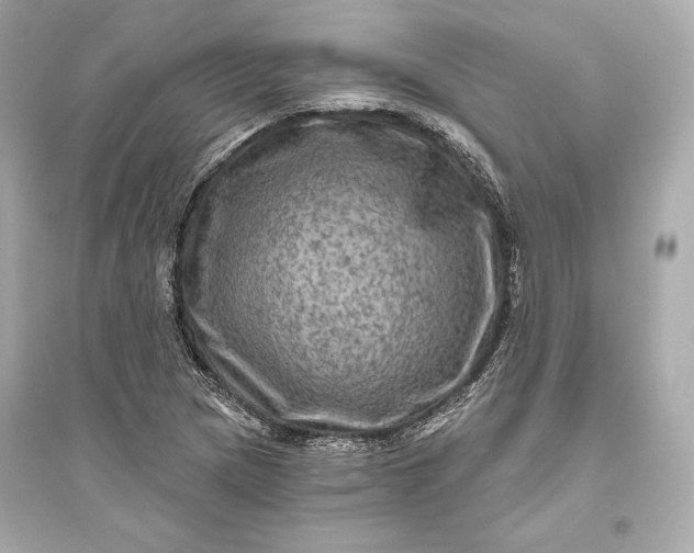 X0000094811217200711301544