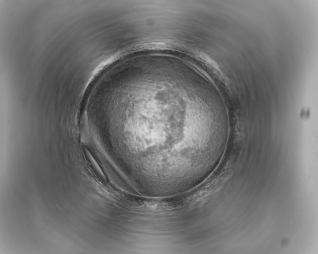 X0000094811218200711301544