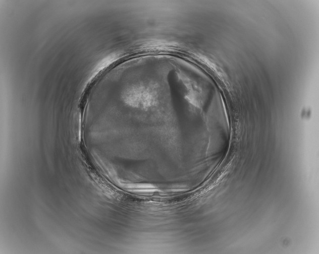 X0000094811219200711301544