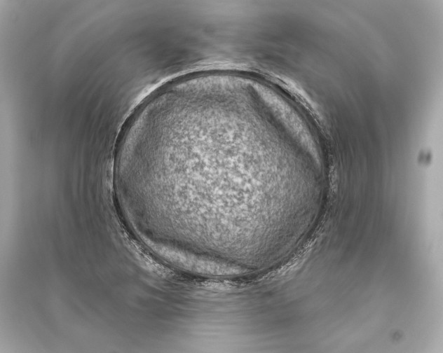 X0000094811220200711301544