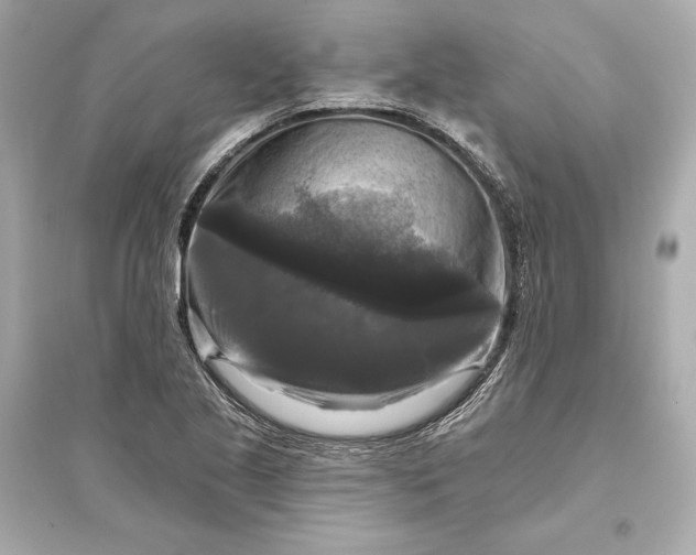 X0000094811221200711301544