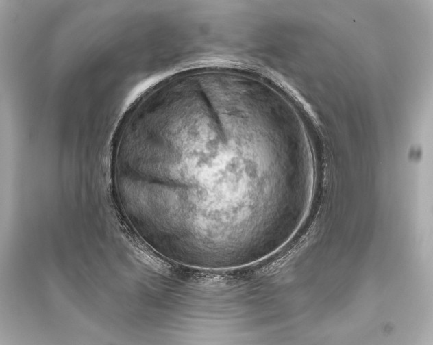 X0000094811222200711301544