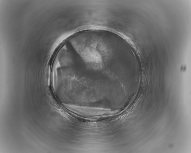 X0000094811223200711301544