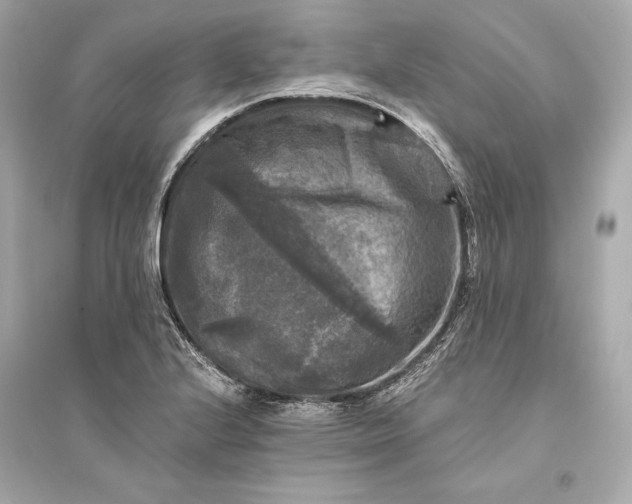 X0000094811224200711301544