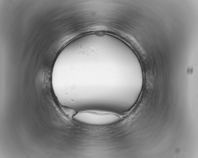 X0000094811225200711301544