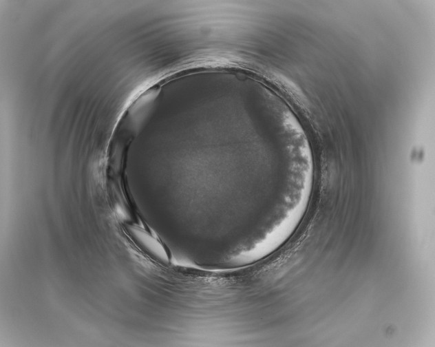 X0000094811226200711301544