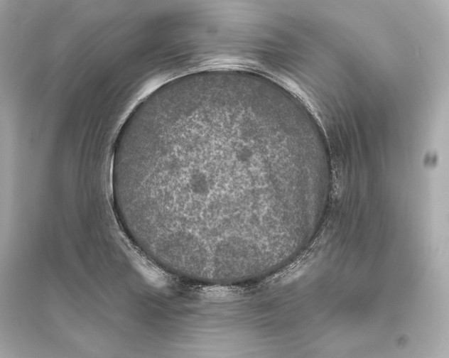 X0000094811227200711301544