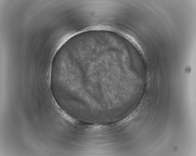 X0000094811228200711301544