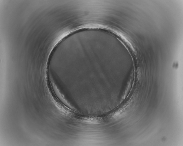 X0000094811229200711301544