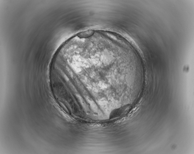 X0000094811230200711301544