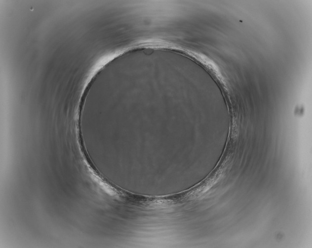 X0000094811231200711301544