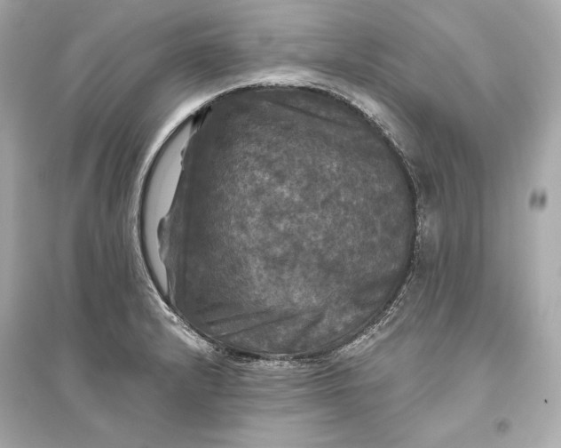 X0000094811232200711301544