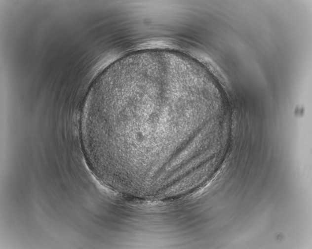 X0000094811233200711301544