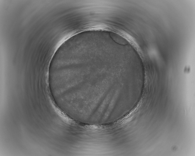 X0000094811234200711301544